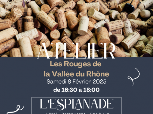 🍇 Atelier Œnologique : Les rouges de la Vallée du Rhône 🍷