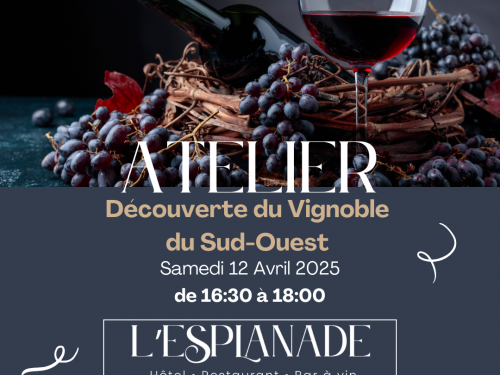 🍇 Atelier Œnologique : Découverte du Vignoble du Sud-Ouest 🍷