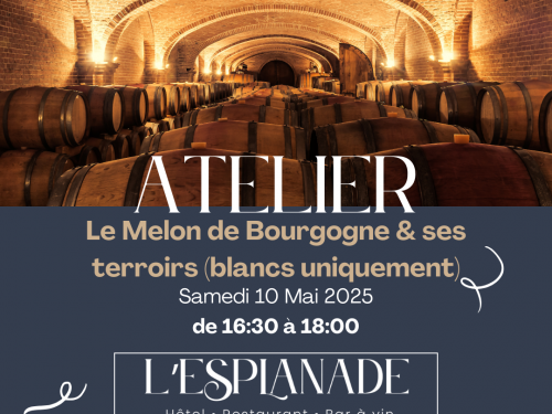 🍇 Atelier Œnologique : Le Melon de Bourgogne et ses Terroirs 🍷