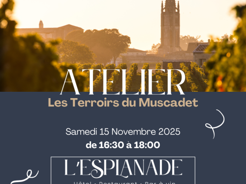 🍇 Atelier du 15 Novembre 2025 – Les terroirs du Muscadet
