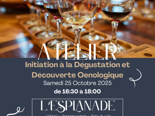 🍷 Atelier du 25 Octobre 2025 – Initiation à la dégustation