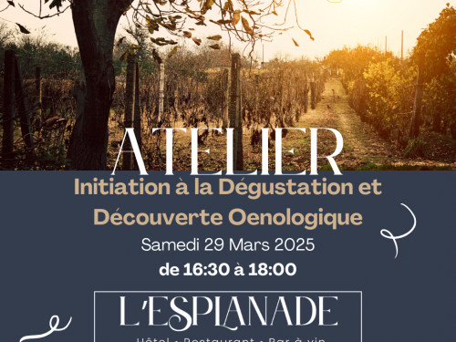 🍇 Atelier Œnologique : Initiation à la Dégustation et Découverte Œnologique🍷