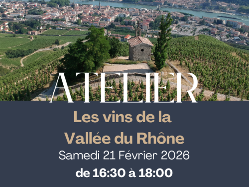 🍇 Atelier Oenologique - Les vins de la Vallée du Rhône