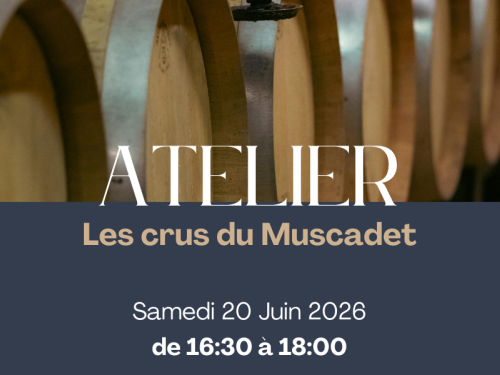 🌊 Atelier Oenologique - Les crus du Muscadet