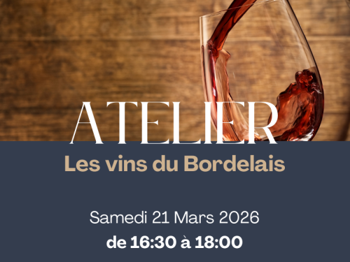 🍷 Atelier Oenologique - Les vins du Bordelais