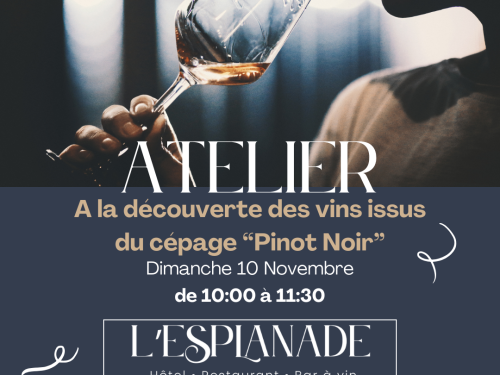 Atelier A la découverte des vins issus du cépage "Pinot Noir"