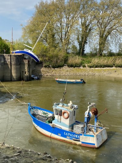 Le Canal de la Martinière