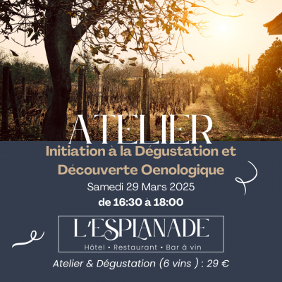 🍇 Atelier Œnologique : Initiation à la Dégustation et Découverte Œnologique🍷