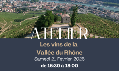 🍇 Atelier Oenologique - Les vins de la Vallée du Rhône