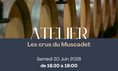 🌊 Atelier Oenologique - Les crus du Muscadet