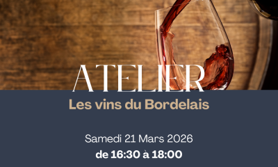 🍷 Atelier Oenologique - Les vins du Bordelais
