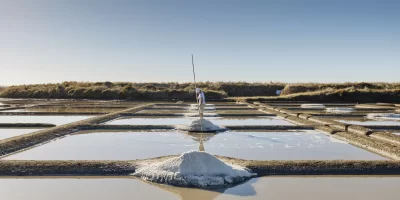 Die Salzgärten von Guérande – Eine einzigartige Landschaft aus Salz und Natur