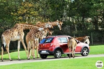 Planète Sauvage proche de Nantes