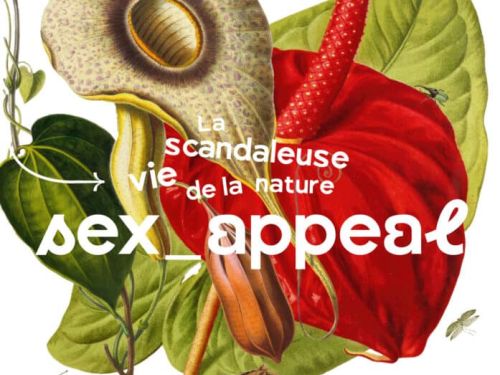 Expo Sex Appeal, la scandaleuse vie de la nature