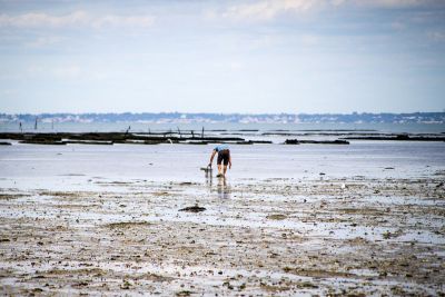 noirmoutier 2 hotel vendee le challans