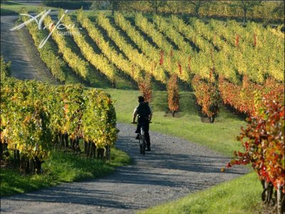 The Loir valley by bike