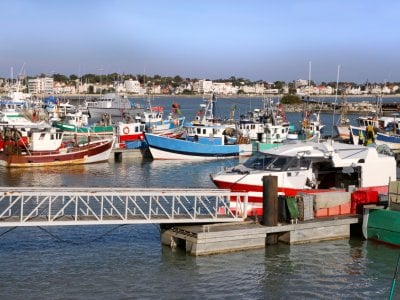 Royan - Prunkstück der Atlantikküste