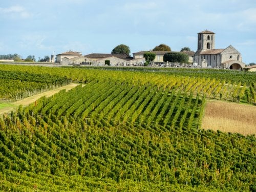 The Medoc wine region 