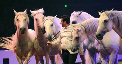 Equestria 2021 1
