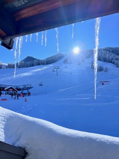 Winter Activities