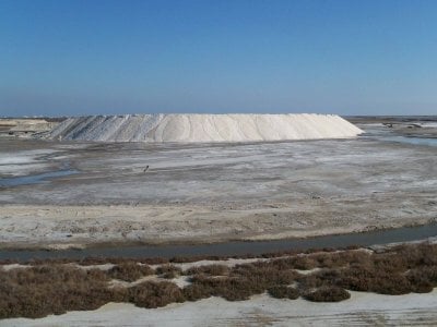 Le Salin de la Palme