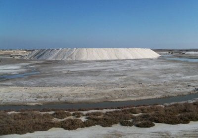 Le Salin de la Palme