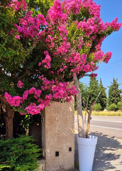 hotel restaurant montelimar 16