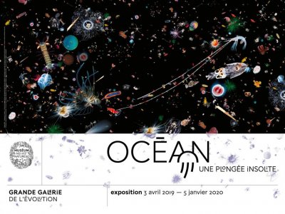 Idée de Visite pour les vacances à Paris : Exposition Océan Grande Galerie de l'Évolution