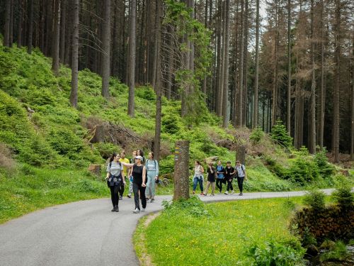 Accueil de Groupes, Familles