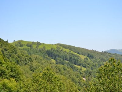 auberge les myrtilles col marrouse le bosc 1 1