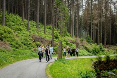 Accueil de Groupes, Familles