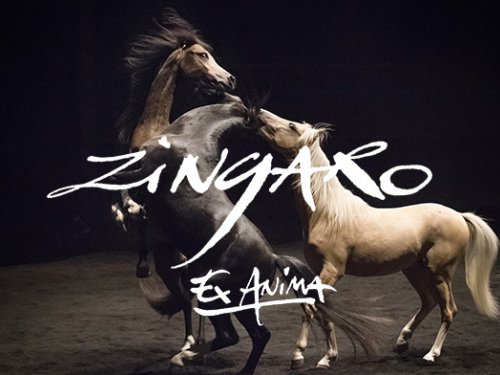 Zingaro - Ex Anima