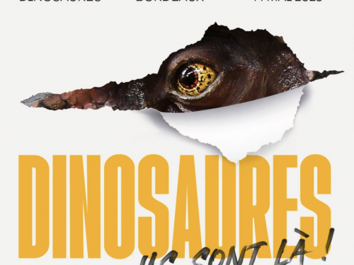 Dinosaures