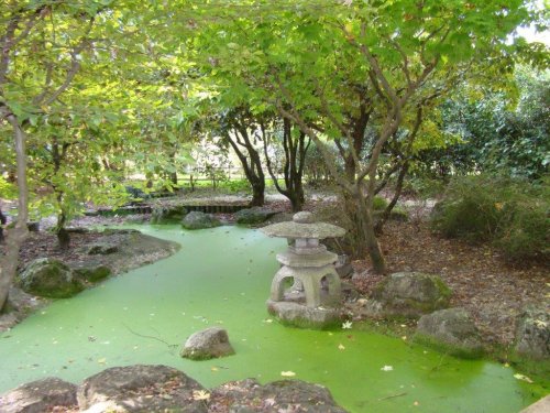 La Réserve écologique des Barails