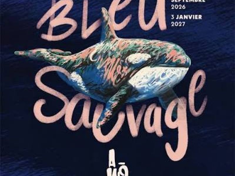 expo bleu sauvage amo bordeaux