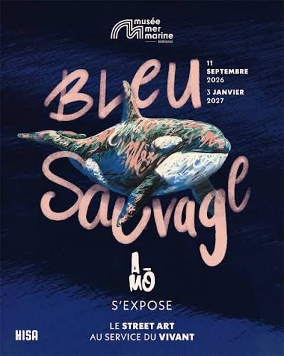 Exposition Bleu Sauvage - A-MO