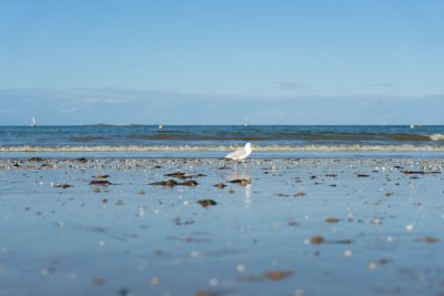 Le Normandy Hotel Pornichet   La Baule  15