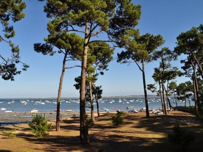 Le Cap Ferret