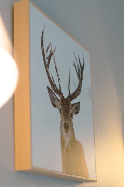 hotel restaurant chambery cosy 2 6 1
