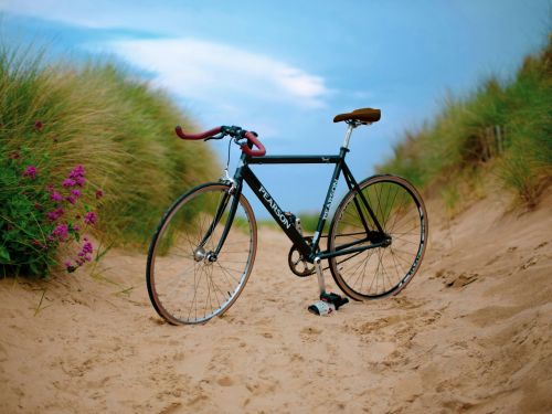 Le Bassin d'Arcachon à vélo