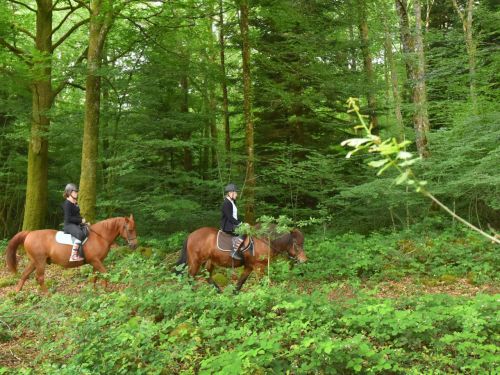 Randonnées pédestres, équestres et cyclo-tourisme