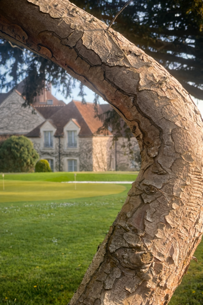 01E673F5 83A5 4E41 A2AA 7141DE727EF6