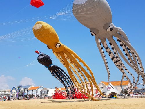 Festival du cerf-volant et du vent de Châtelaillon-Plage 2026