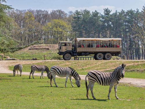 ZooSafari de Thoiry 