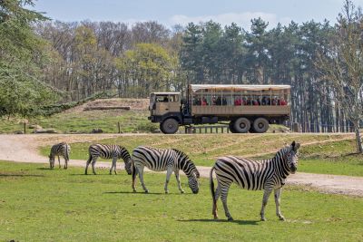 ZooSafari de Thoiry