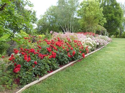 Jardins des Martels hotel