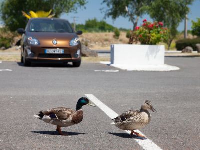 hotel bordeaux lac bruges 13