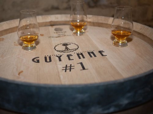 Brasserie Distillerie Guyenne à Lugasson