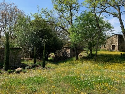 Hebergement Mauriac Gironde La Petite Toscane Saint Emilion printemps