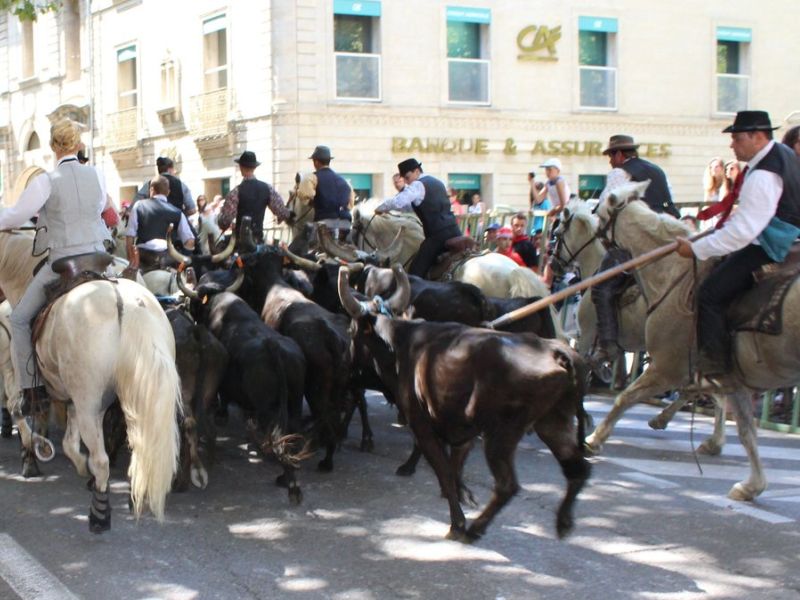 fete votive uzes 2025 hotel